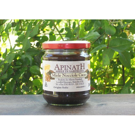 Cocoa and hazelnut cream - Apinath