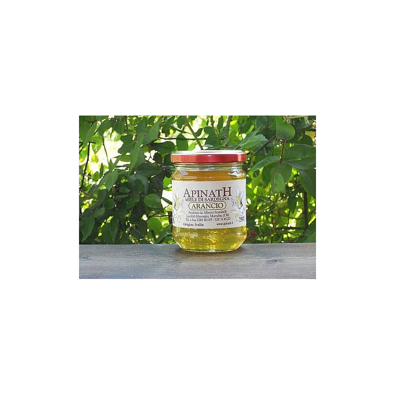 Orange honey - Apinath