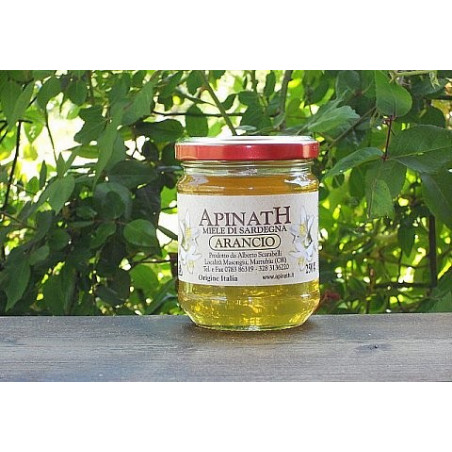 Orange honey - Apinath