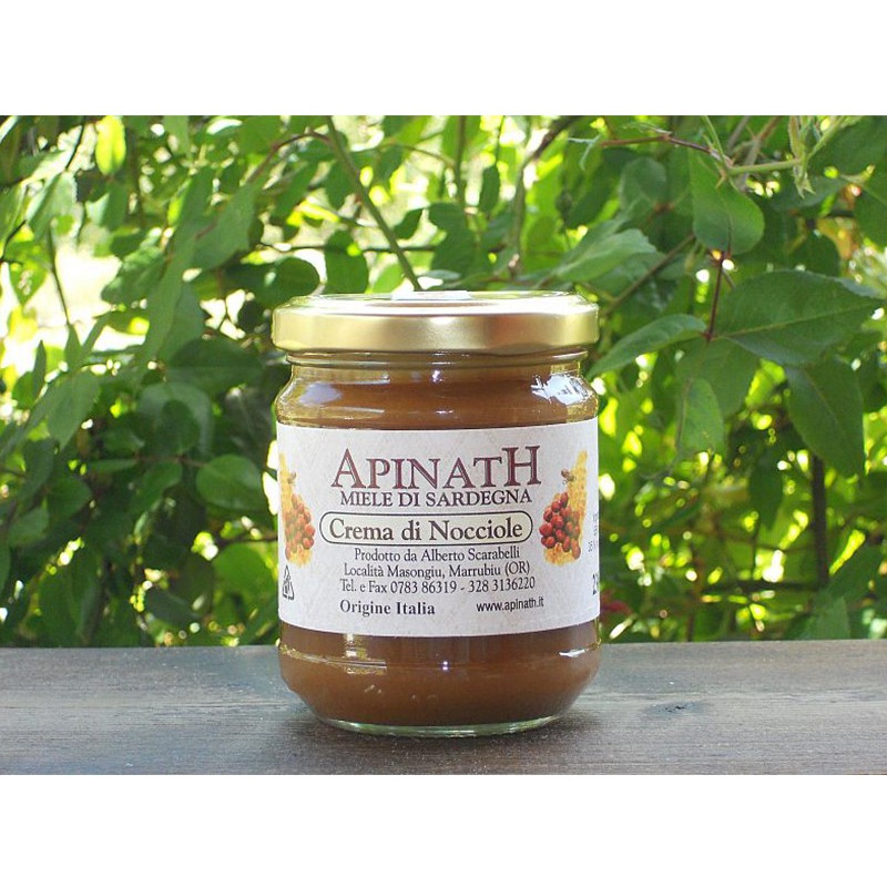 Hazelnut cream - Apinath