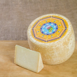 Sardinia goat cheese - Argiolas Formaggi