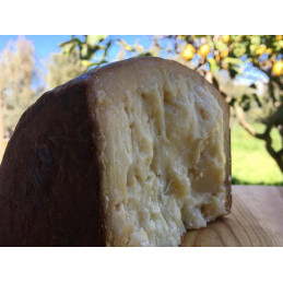 Pecorino sardo maturo