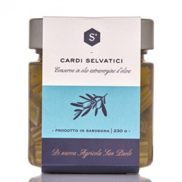 Cardo selvatico in olio evo - Nuova Agricola San Paolo