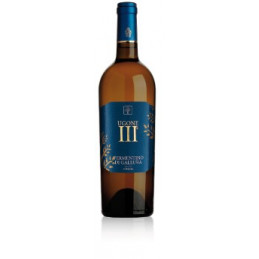 Ugone III - Cantina della Vernaccia