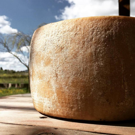 Pecorino Bio a caglio vegetale 