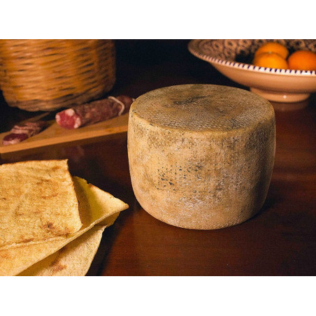 Pecorino di Osilo - Gavinuccio Turra