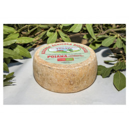 Pecorino cheese Poiana Bio - Floris